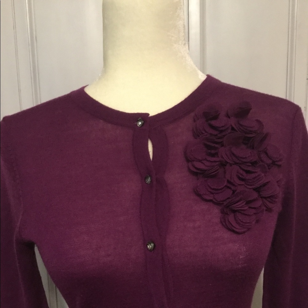ANN TAYLOR SWEATER